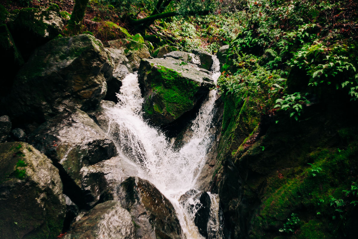 Sonoma Creek Falls
