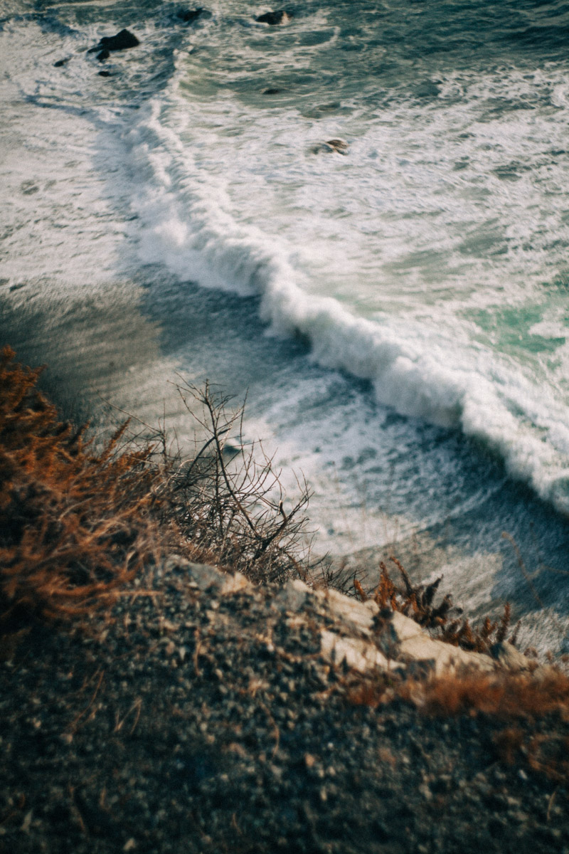 twigs on a cliff with the beach below