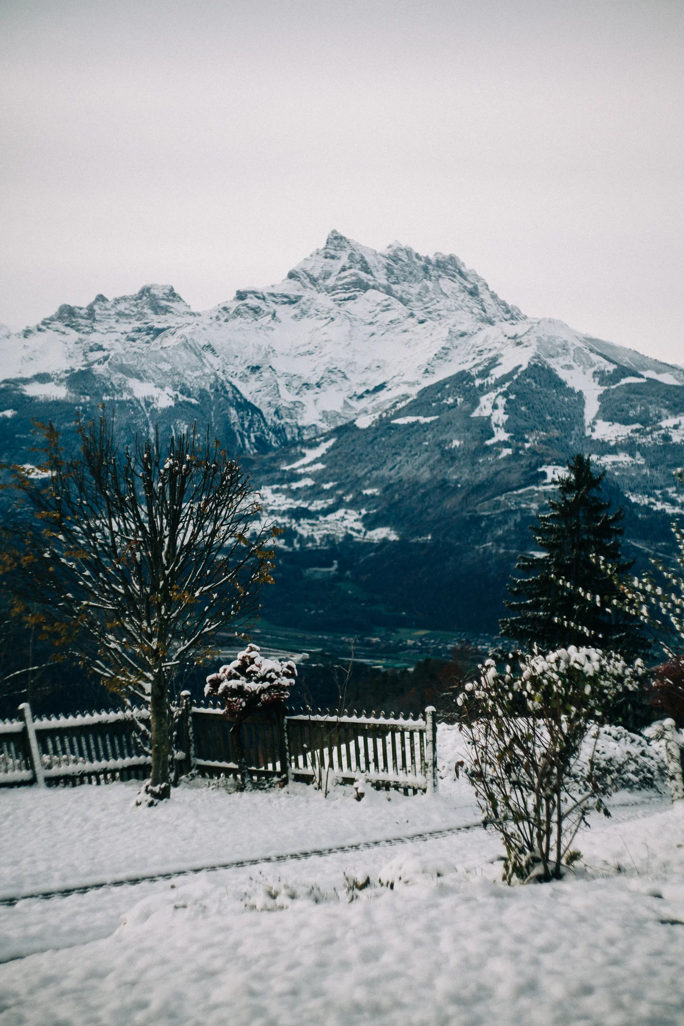 swiss alps in the snow