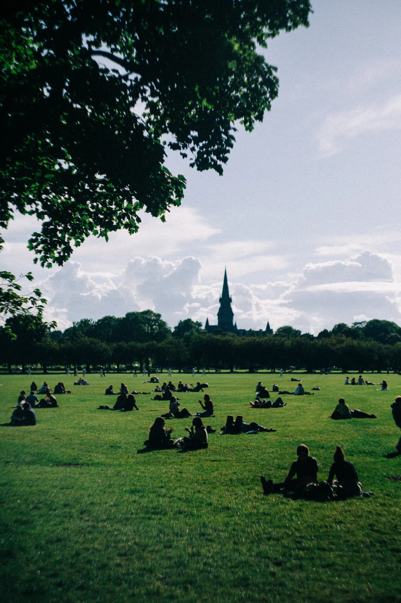 a park with lots of people hanging out