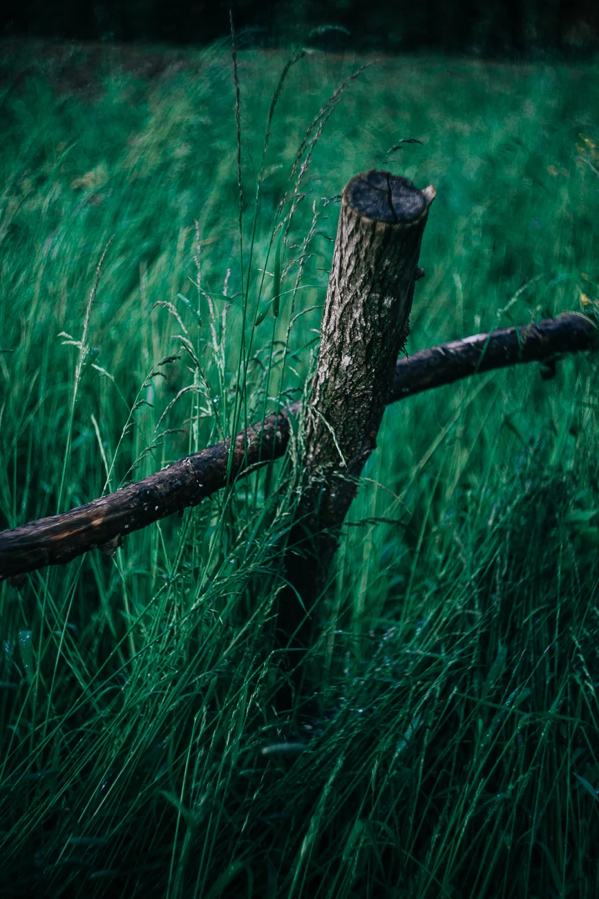 a rustic fence in tall grass