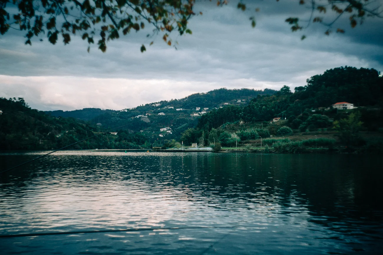 Douro River banks