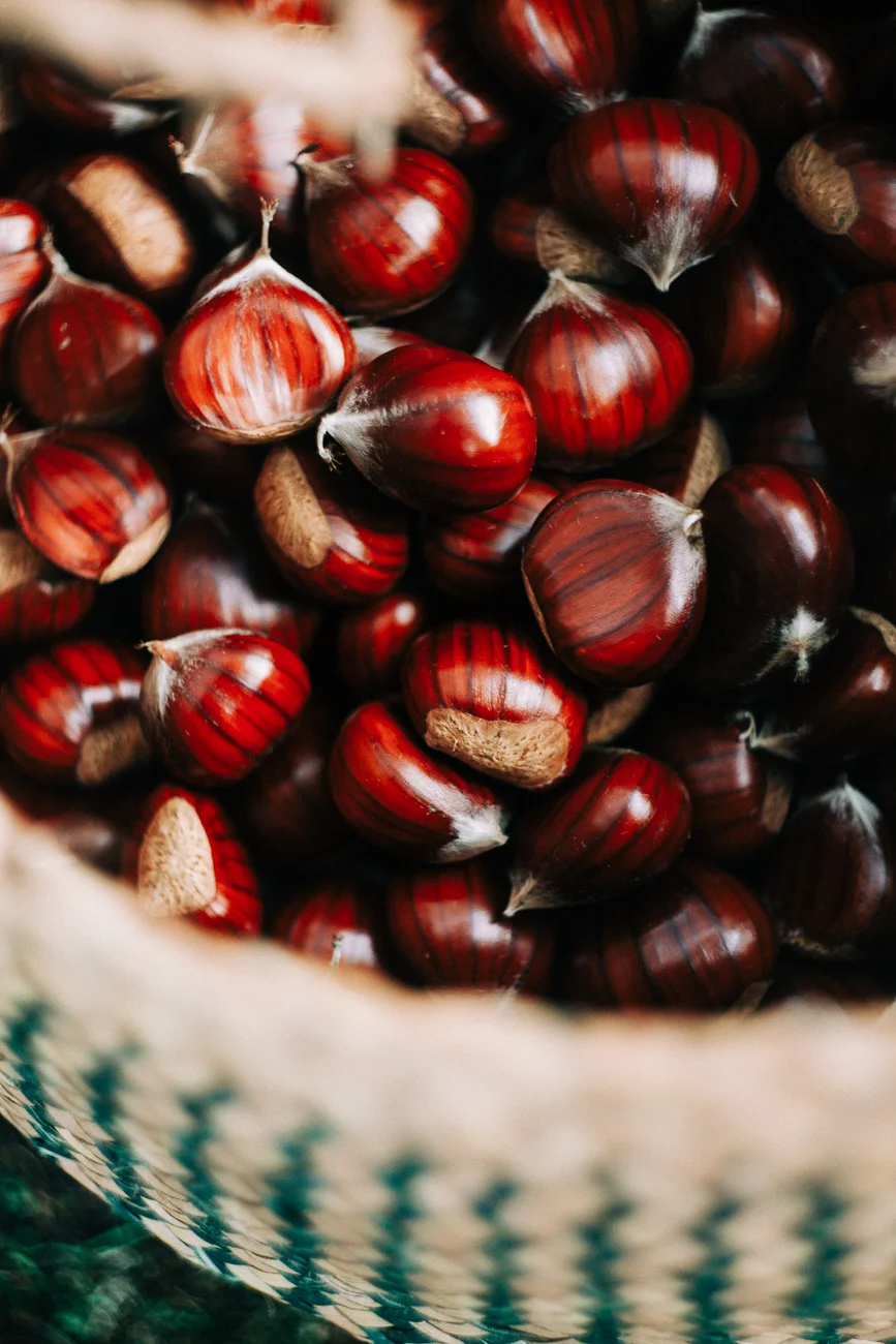 close up of chestnuts