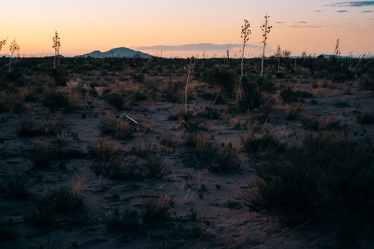 desert sunset