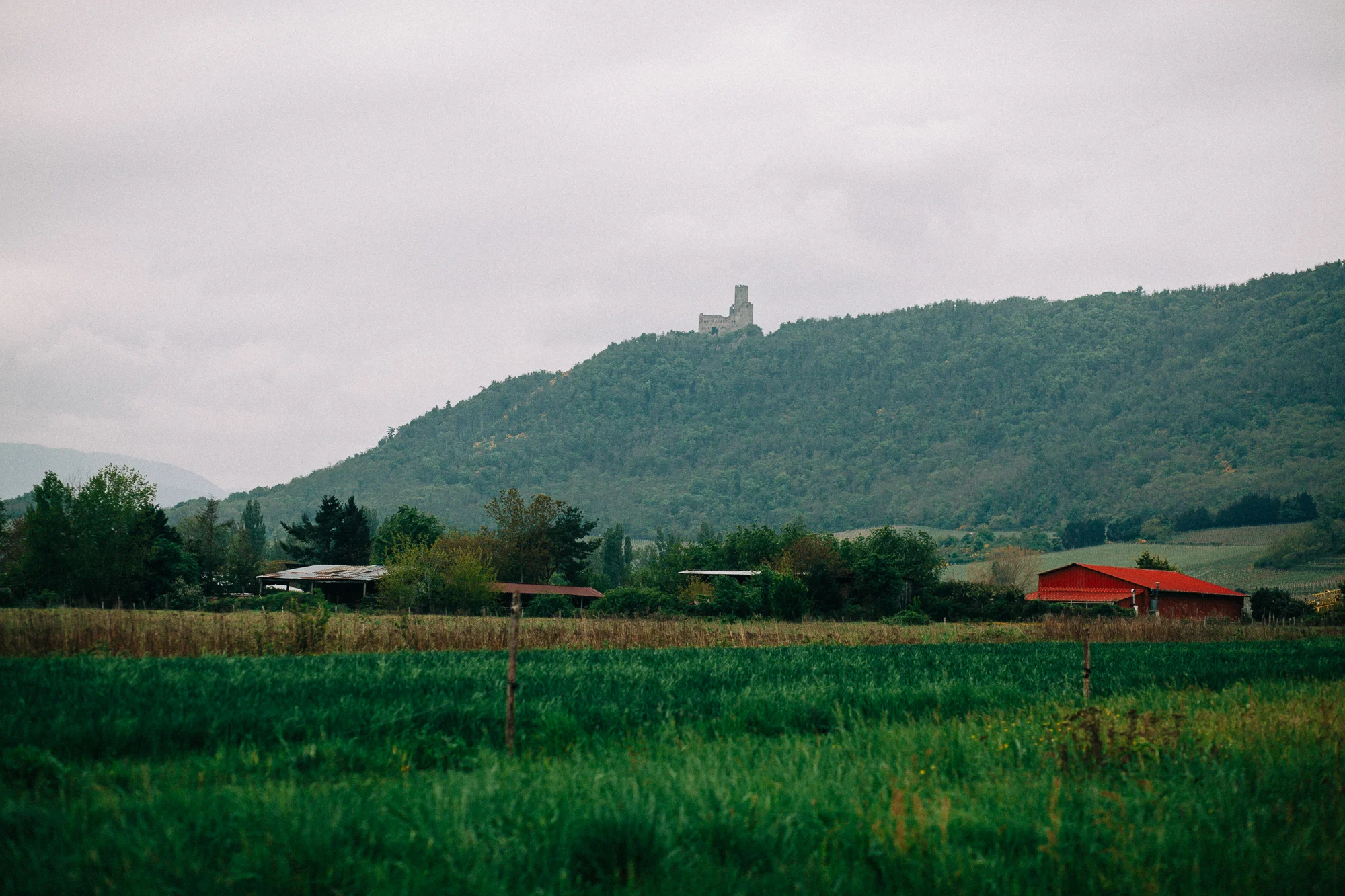 a field in alsace