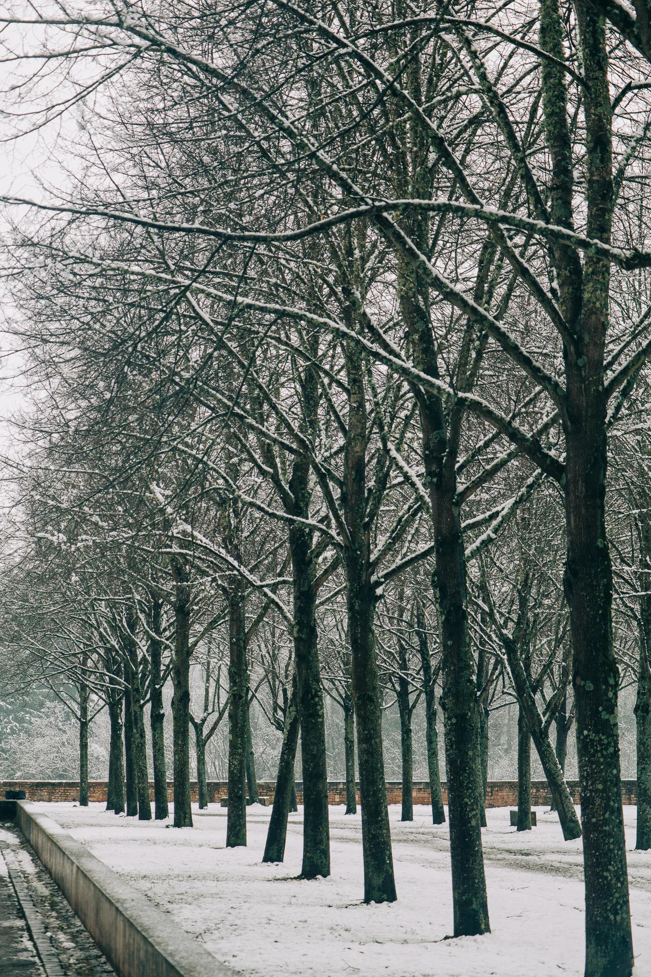 Notra Dame blanketed in snow