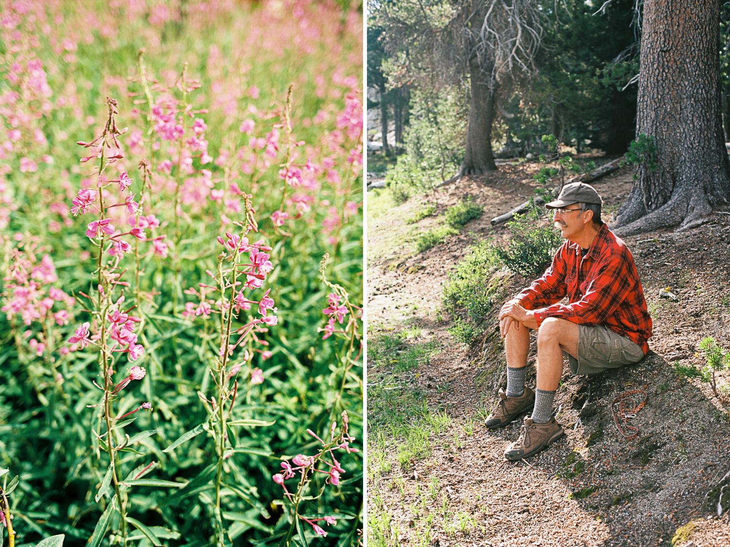 a field of flowers and a resting hiker