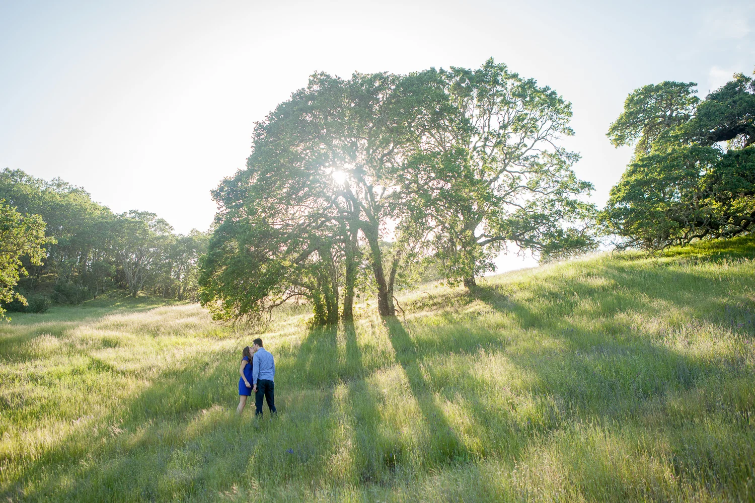 a young couple kissing under an oak tree