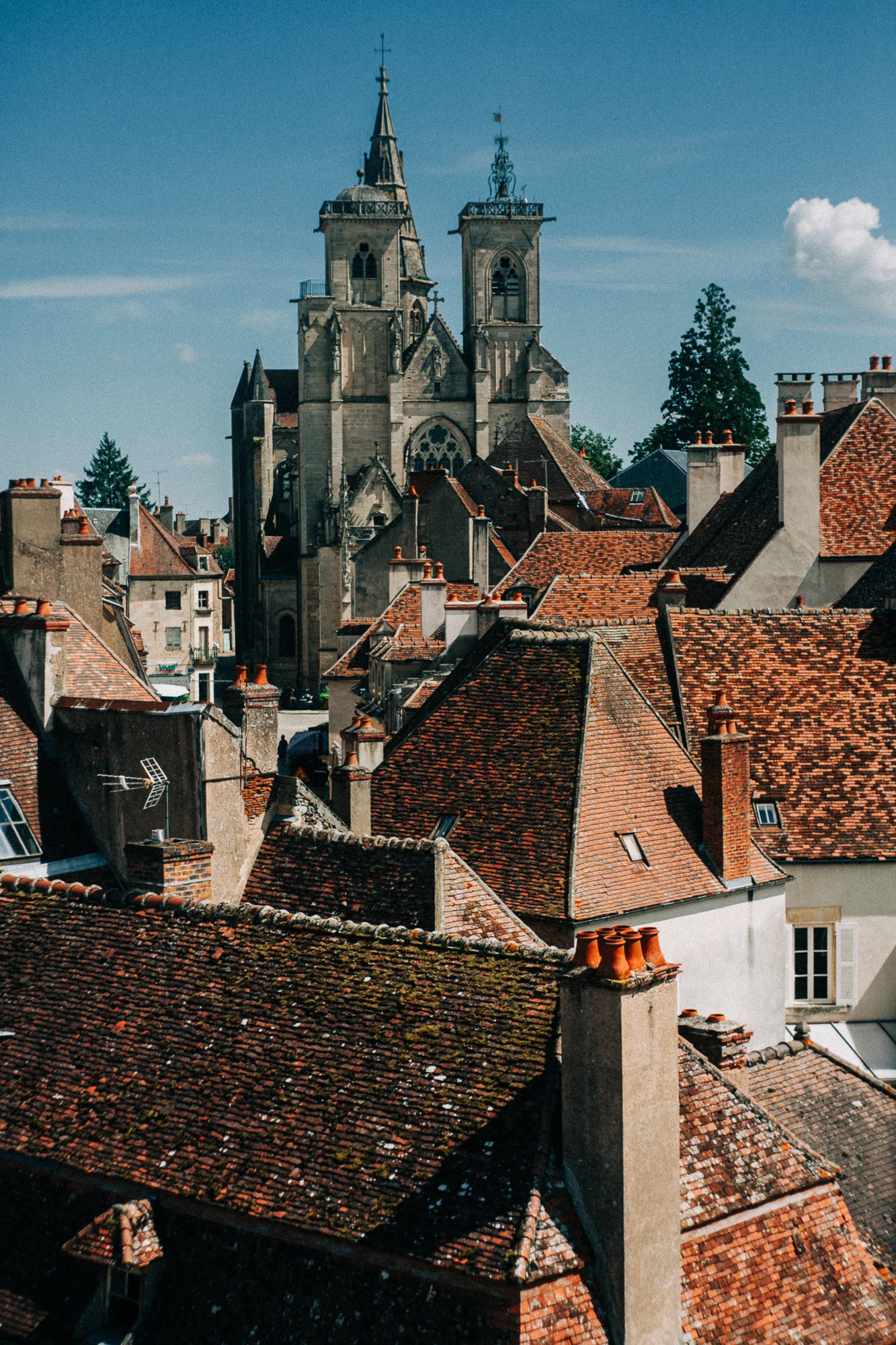 a medieval skyline showing a cathedral and red roofs