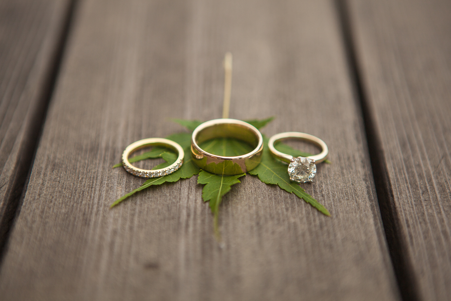 a macro shot of wedding rings and leaf